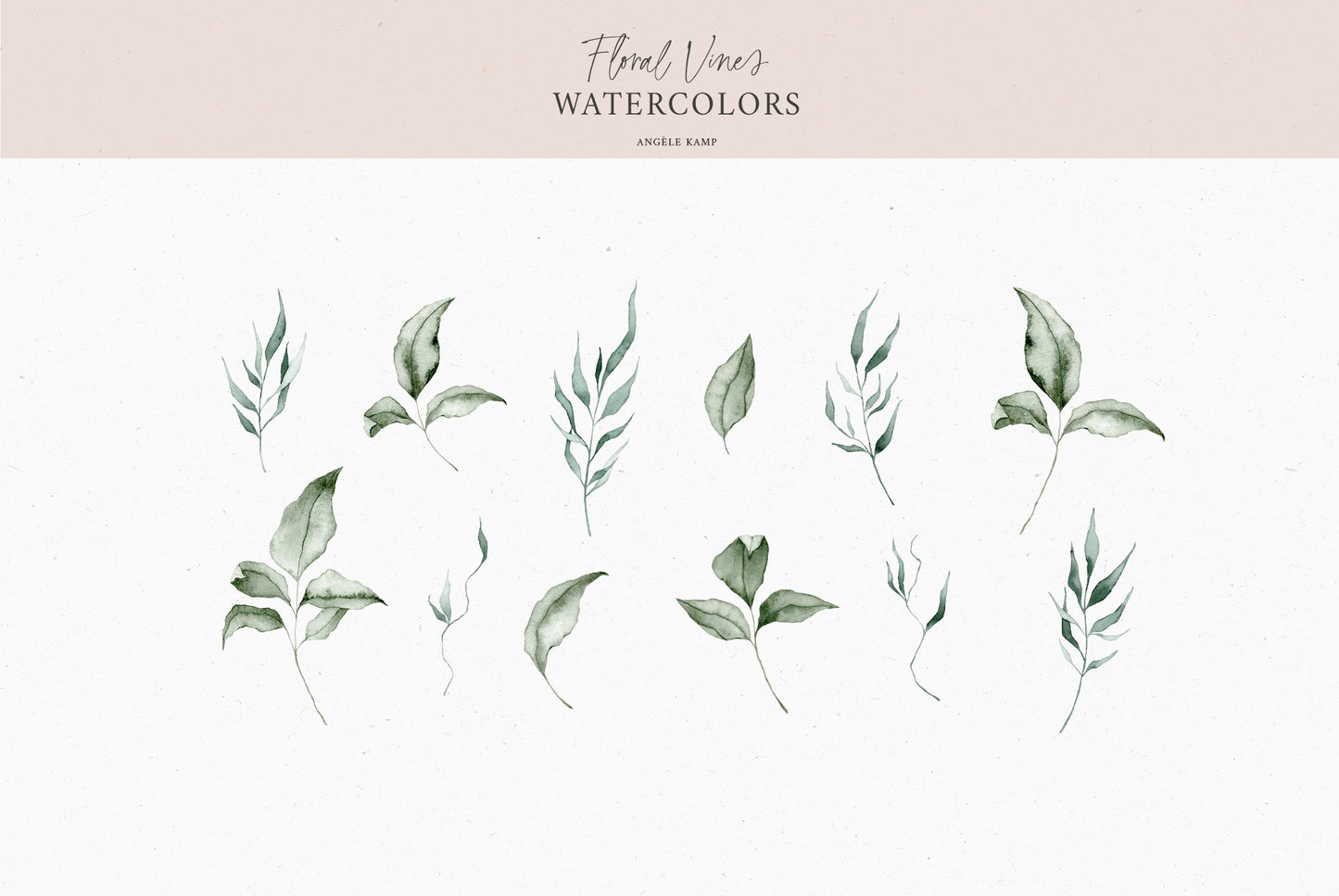 Floral Vines botanical watercolor art illustrations Angele Kamp