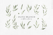 Load image into Gallery viewer, Olive branch watercolors