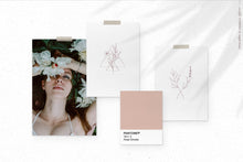 Load image into Gallery viewer, Wild Flowers Illustrations