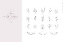 Load image into Gallery viewer, Wild Flowers Illustrations