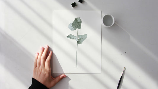 Watercolor Eucalyptus branch
