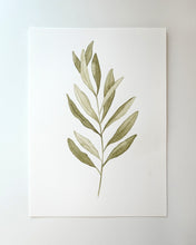 Load image into Gallery viewer, Olive Branch 03 Original watercolor
