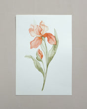 Load image into Gallery viewer, Orange Orchid Original watercolor
