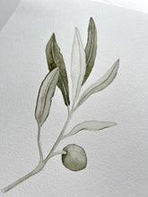 Load image into Gallery viewer, Olive branch Original watercolor
