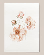 Load image into Gallery viewer, Icelandic Poppies 01 Print
