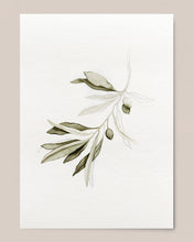 Load image into Gallery viewer, Olive Branch Print
