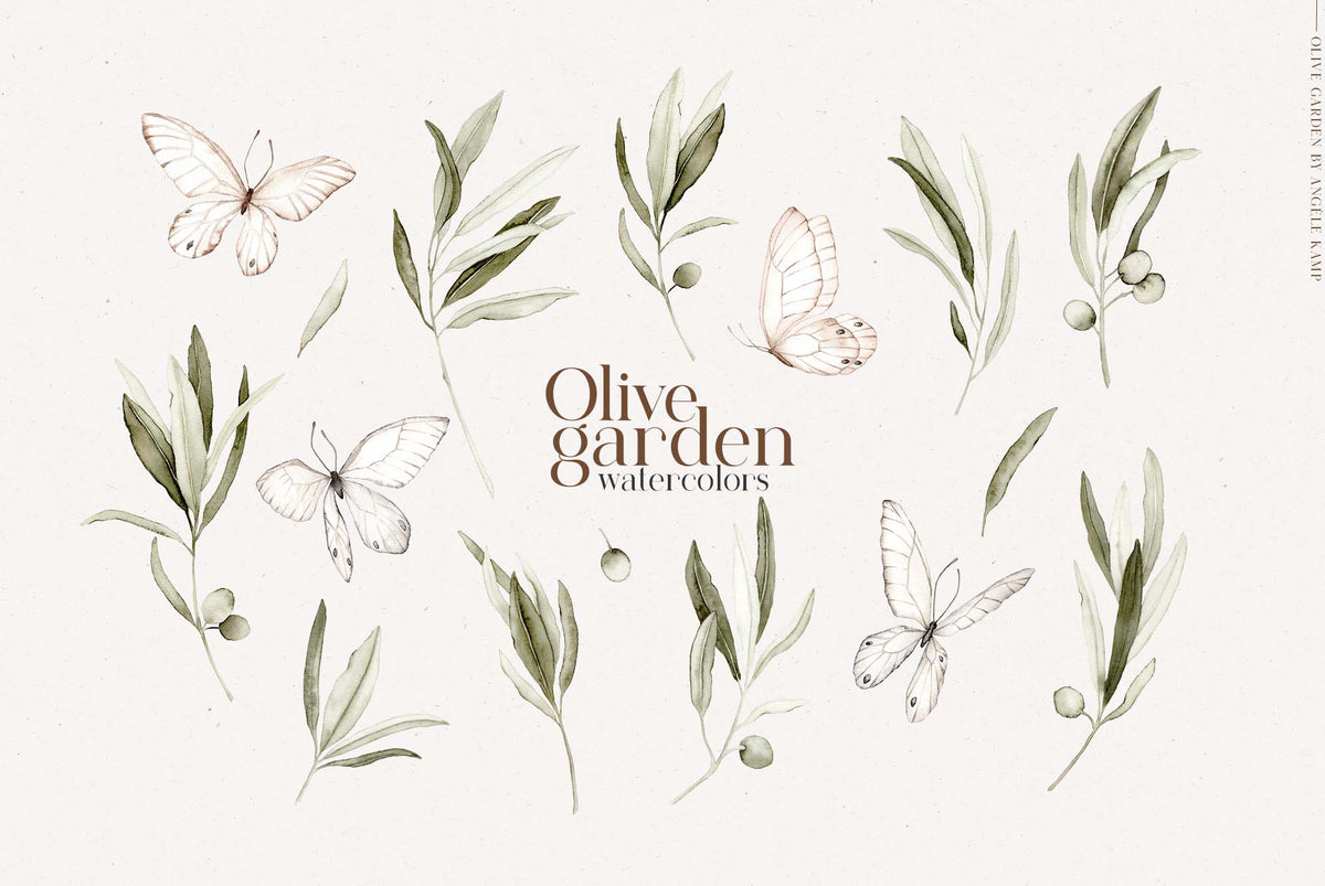 Olive garden watercolors