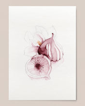 Load image into Gallery viewer, Purple Figs Print
