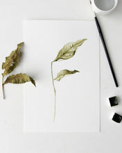 Load image into Gallery viewer, Fallen Leaves 06 Original watercolor
