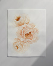 Load image into Gallery viewer, Peonies Original watercolor
