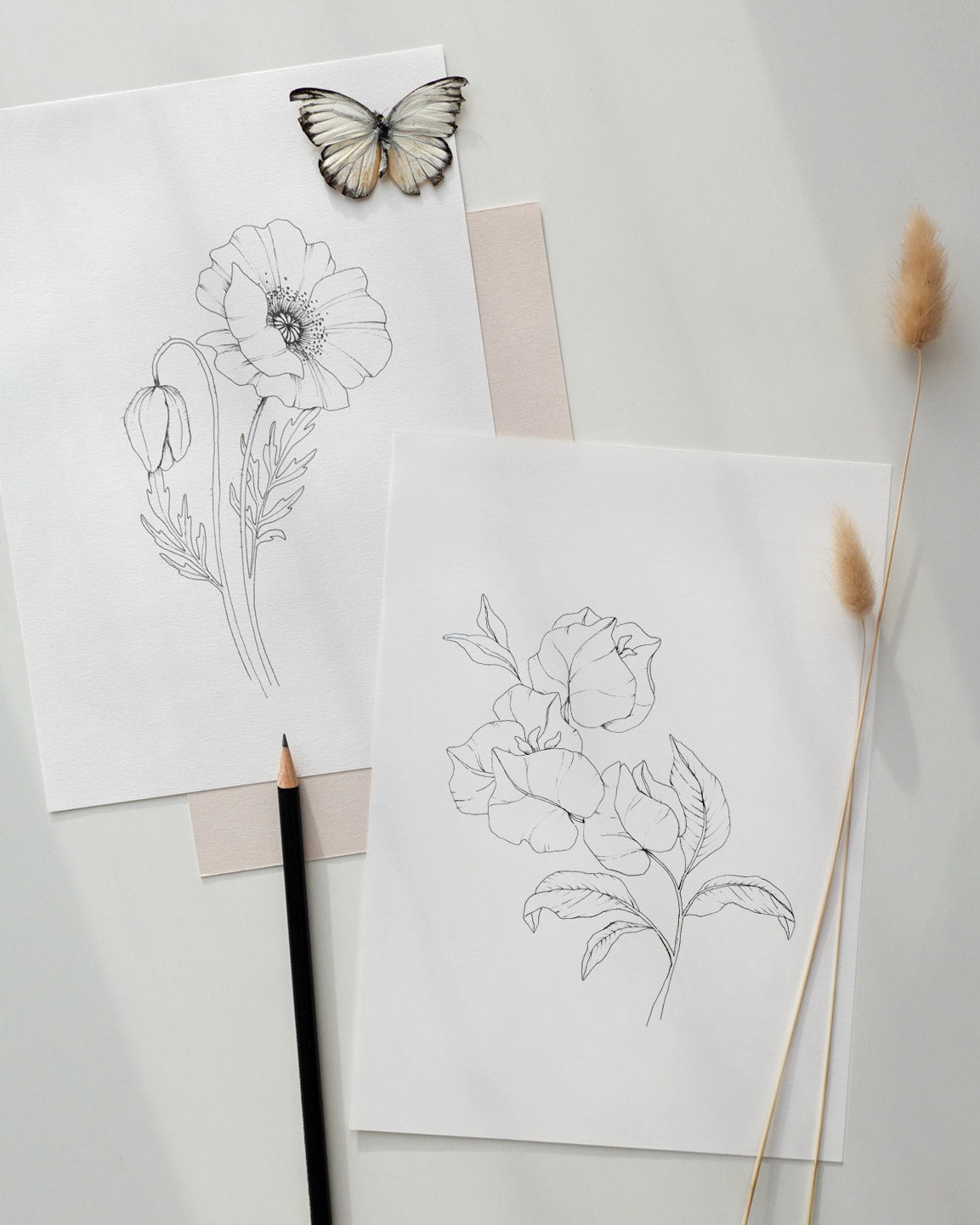 Drawing course