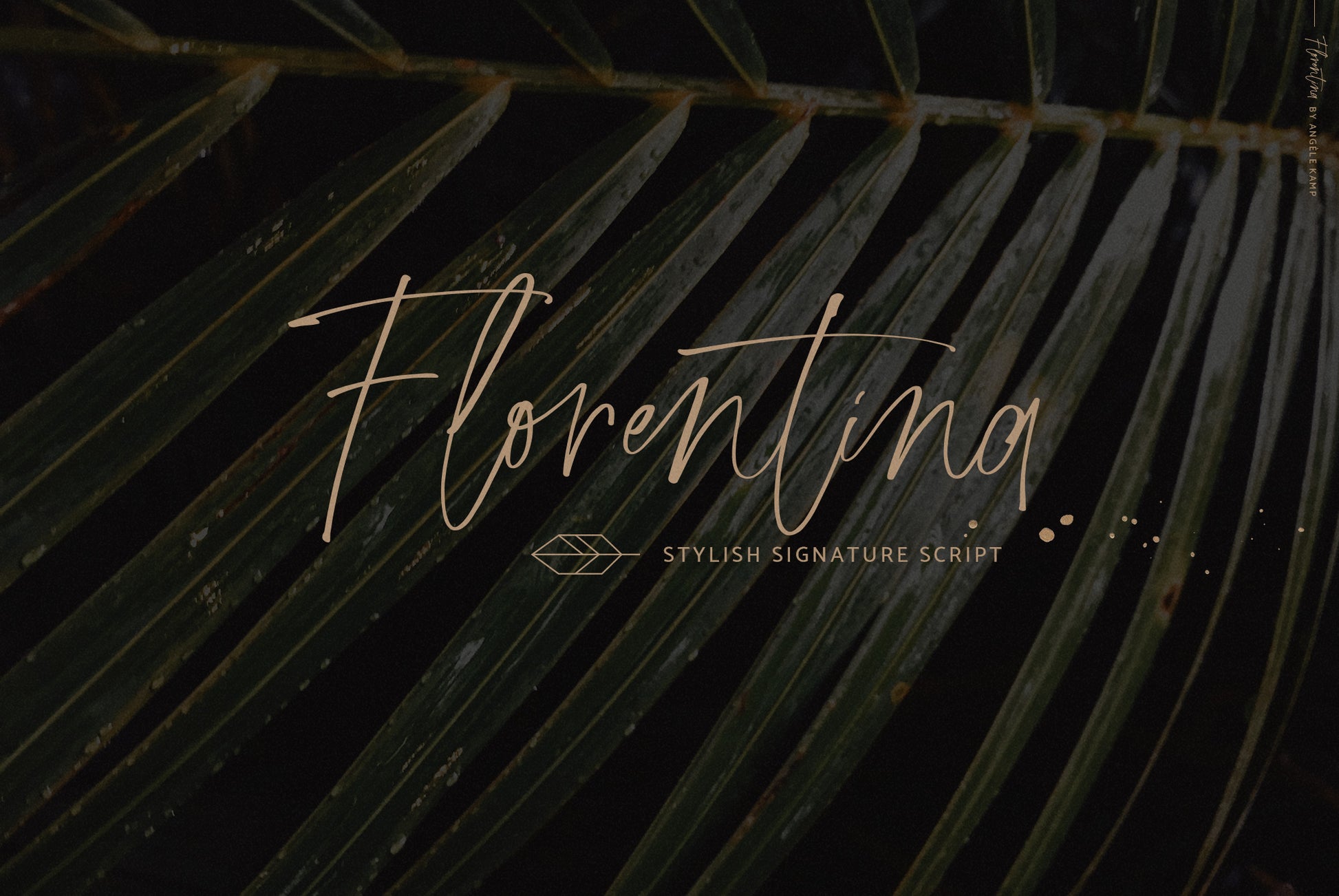 Florentina stylish signature script font by Angele Kamp