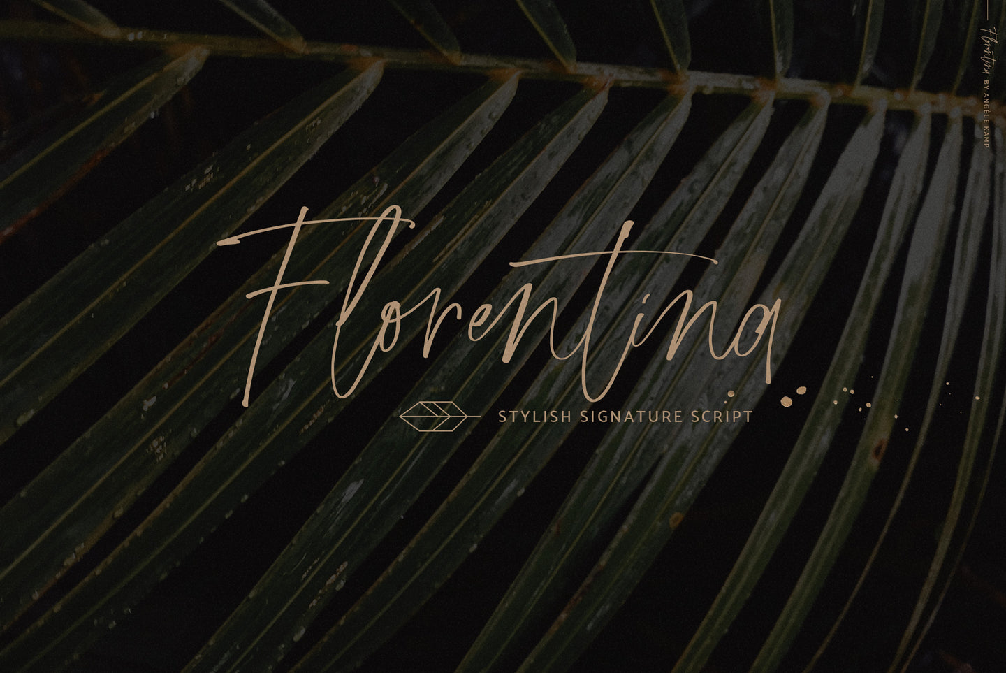 Florentina stylish signature script font by Angele Kamp