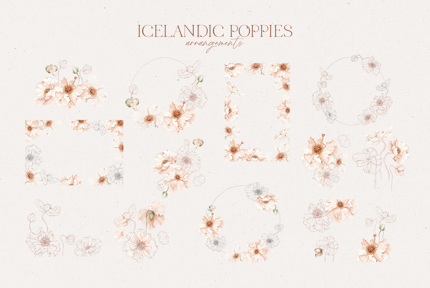 Icelandic Poppies watercolor art