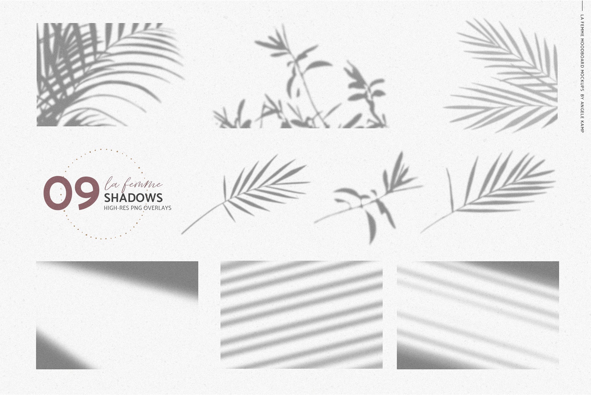 LaFemme moodboard mockups Angele Kamp