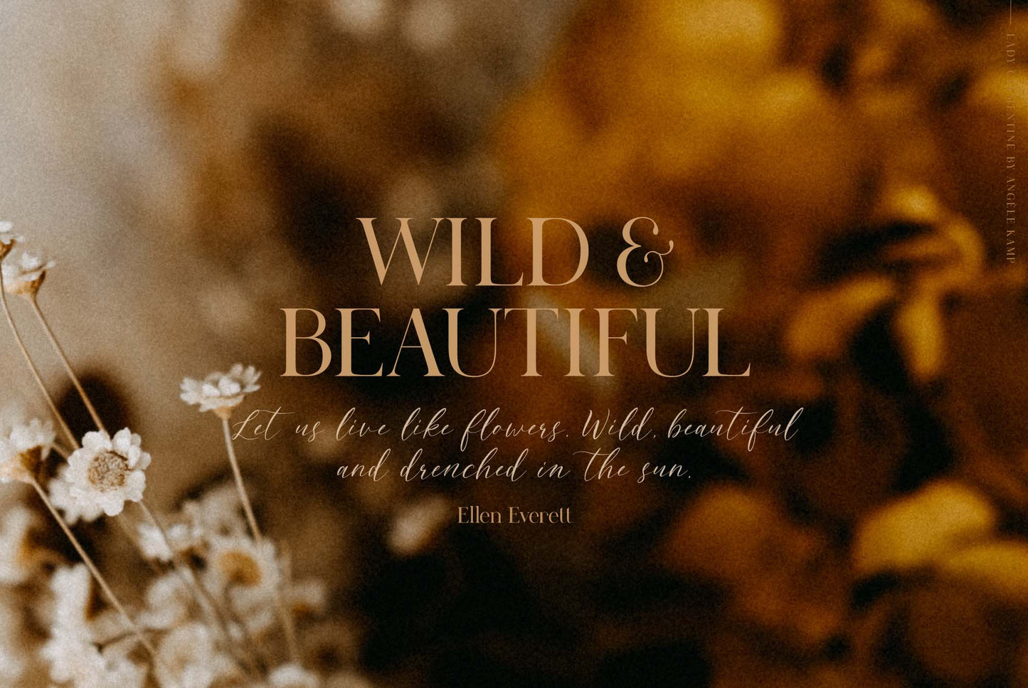 Lady Clementine font duo