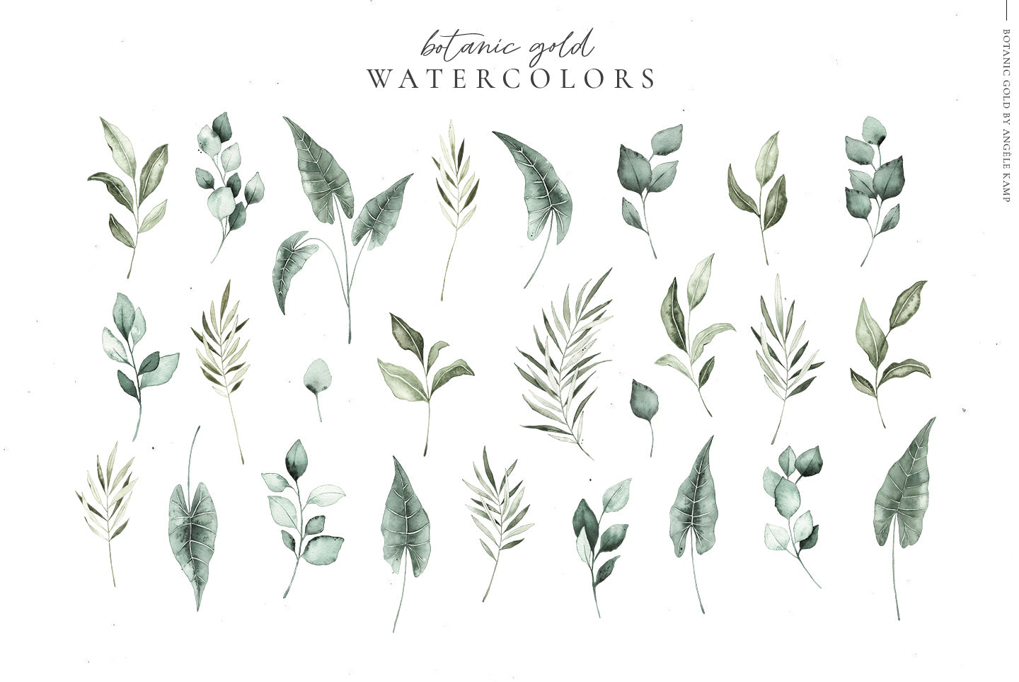 Botanic Gold watercolor alphabet by Angele Kamp