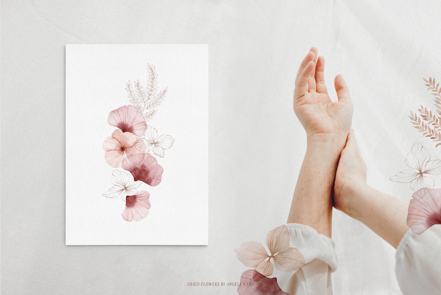 Dried Flowers