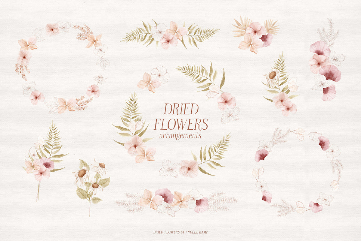 Dried Flowers