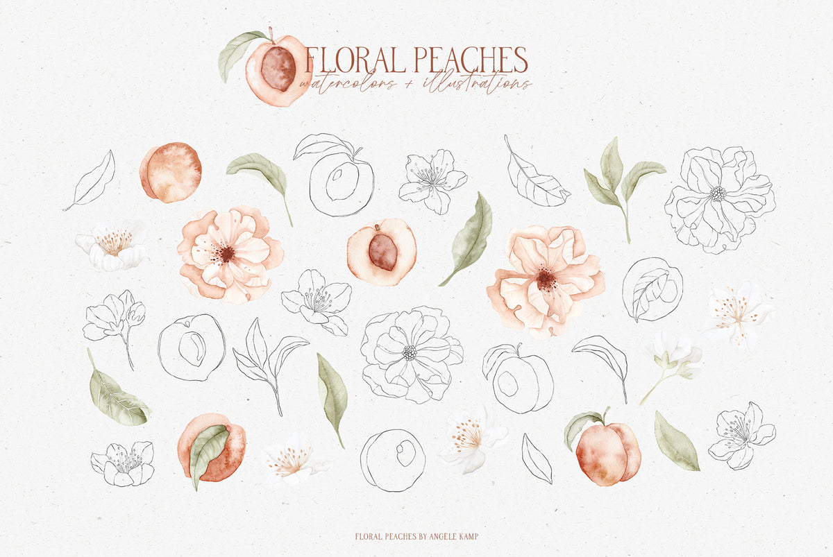 Floral Peaches watercolors
