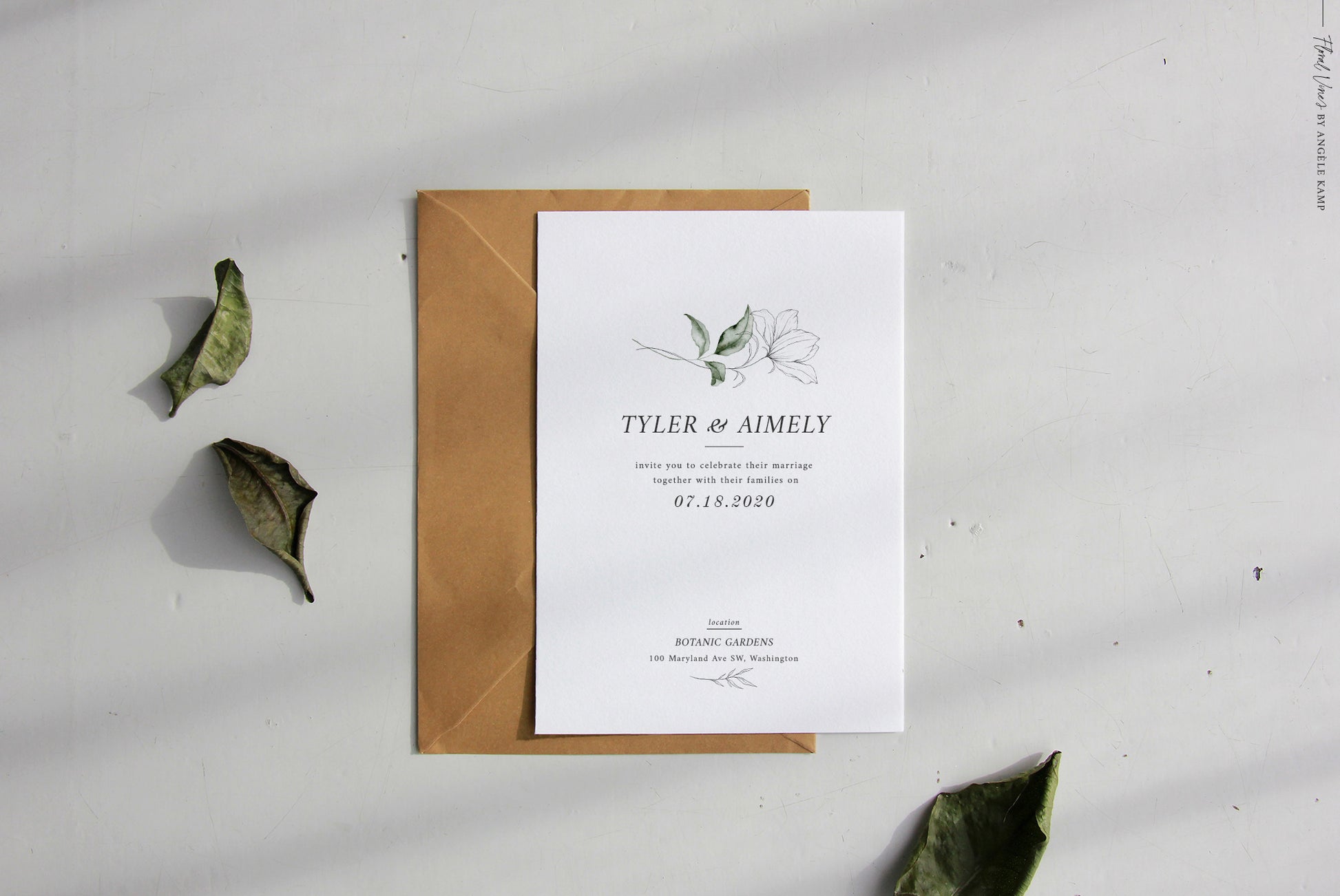Floral Vines botanical watercolor art illustrations Angele Kamp