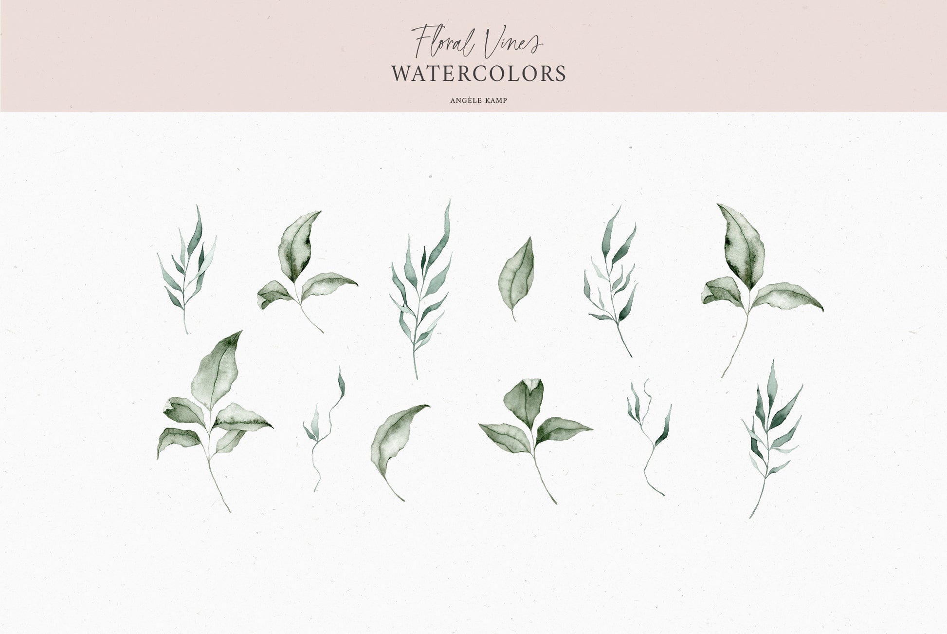 Floral Vines botanical watercolor art illustrations Angele Kamp