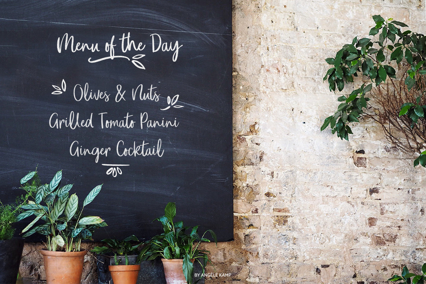 Oh Livey brush font by Angele Kamp