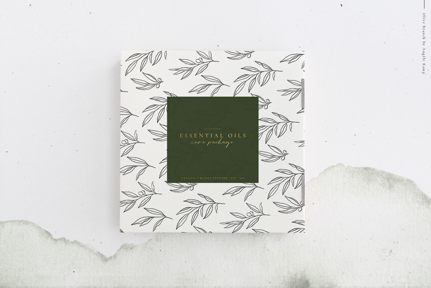 Olive branch watercolors