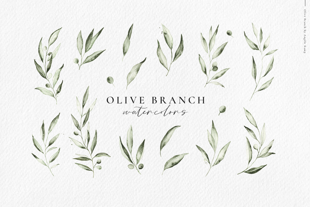 Olive branch watercolors