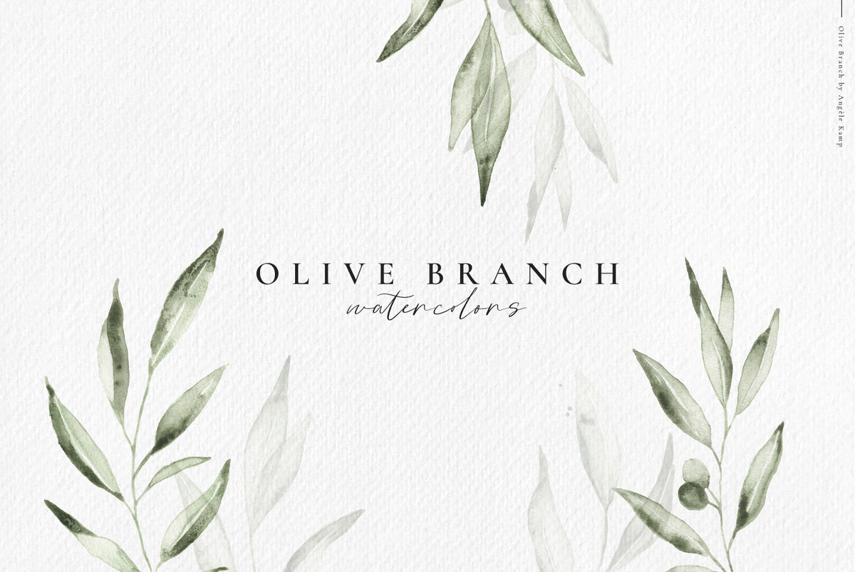 Olive branch watercolors