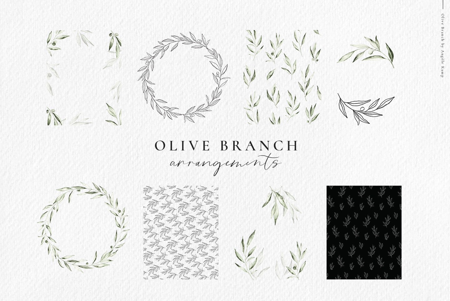 Olive branch watercolors