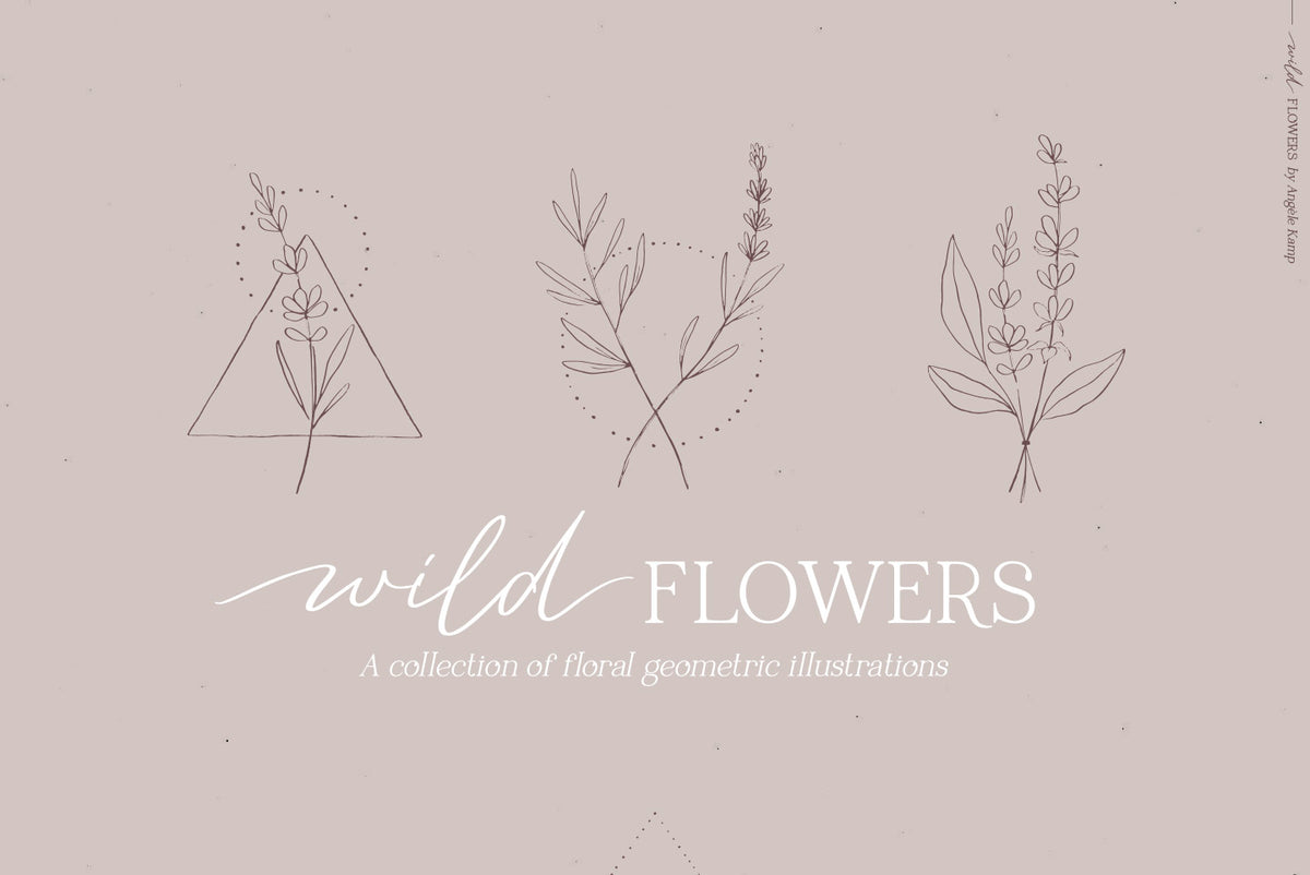 Wild Flowers Illustrations
