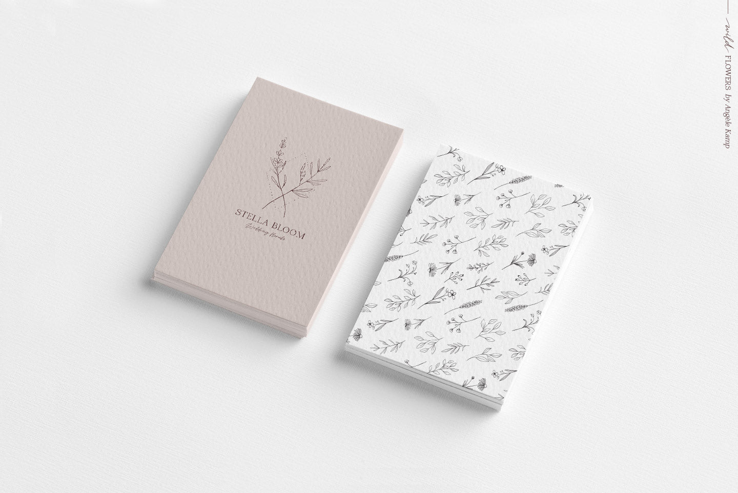 Wild Flowers Illustrations