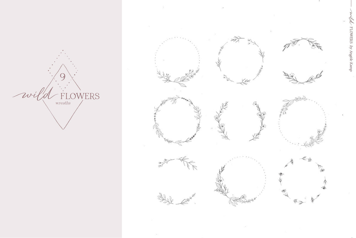 Wild Flowers Illustrations