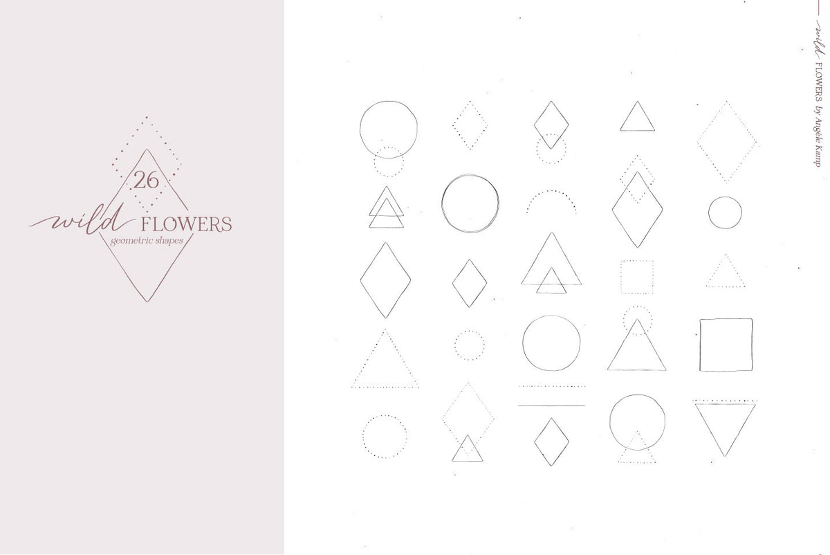 Wild Flowers Illustrations